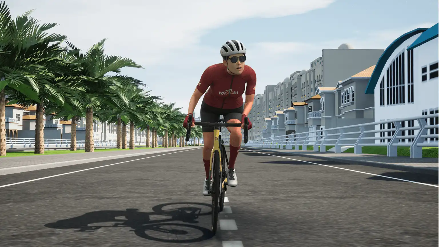 MyWhoosh rider on a virtual street